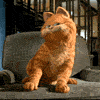 Avatar animado Garfield 31 