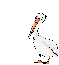 Imagen animada Pelicano 17 