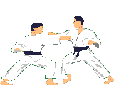 Imagen animada Judo 01 