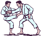 Imagen animada Judo 02 