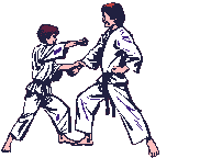 Imagen animada Karate 01 