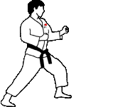 Imagen animada Karate 03 