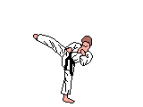 Imagen animada Karate 04 