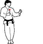 Imagen animada Karate 05 