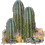 Imagen animada Cactus 02 