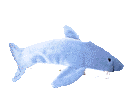 Imagen animada Tiburon 19 