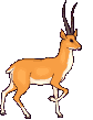 Imagen animada Antilope 02 