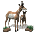 Imagen animada Antilope 05 