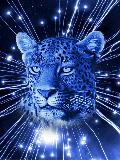 Imagen animada Leopardo 04 