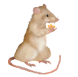 Gifs animados de Ratones, animaciones de Ratones