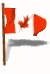 Bandera animada de Canada 01 