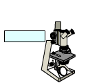 Imagen animada Microscopio 04 