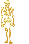 Imagen animada Esqueleto 04 