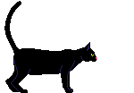 Imagen animada Gato negro 02 