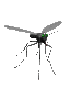 Imagen animada Mosquito 03 