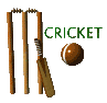 Imagen animada Cricket 04 