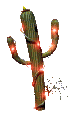 Imagen animada Cactus 05 
