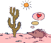 Imagen animada Cactus 13 