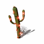 Imagen animada Cactus 17 