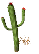 Imagen animada Cactus 26 
